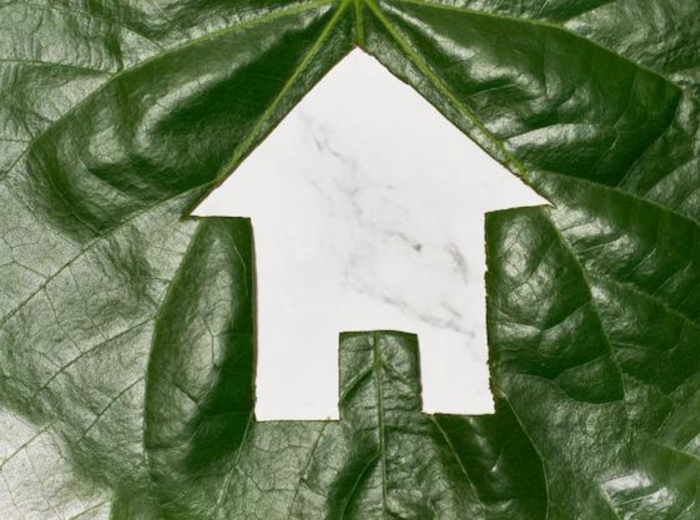 L’utilisation de matériaux verts